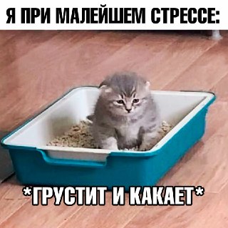 Иллюстрация 1