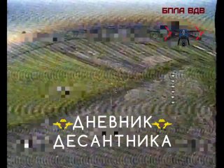 На Запорожском фронте в районе Степногорска FPV-дроны уничтожили группу пехоты