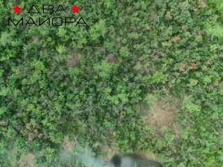 Применение БПЛА с зажигательными сбросами по пехоте ВСУ в районе Приморского