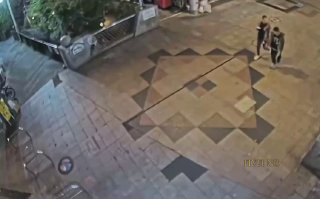 В японском городе Утсуномия третий день ищут заблудившегося медведя