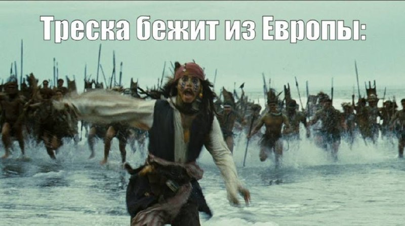Эксперты назвали санкции ЕС против российской трески «самонаказанием»