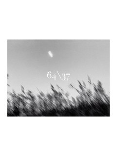 Иллюстрация 9