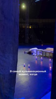 Кот сорвал драматичный момент в постановке «Ромео и Джульетта»