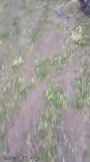 В результате удара FPV-дронов на Славянском направлении уничтожен пикап украинских боевиков