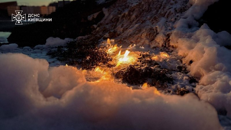 Иллюстрация 4