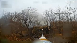 Российские FPV-дроны уничтожили артиллерию ВСУ на Добропольском направлении