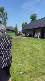 Ежедневные потери в Украине среди тех, кто продолжает боевые действия
