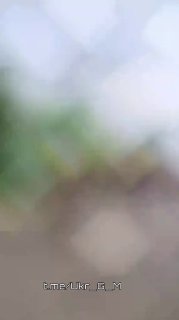 Иллюстрация 2