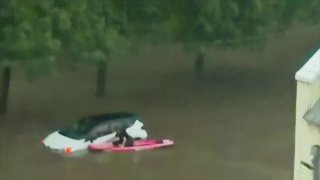 Москвич на сапборде помогает водителям выбираться из затопленных машин