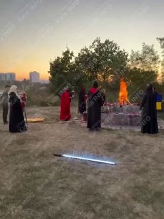 Иллюстрация 1