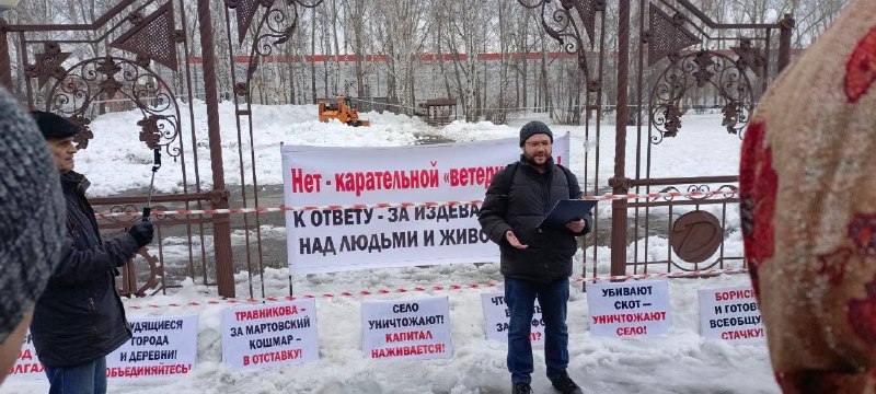 Новосибирские фермеры подали иск из-за массового забоя скота