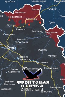Удары по резервам ВСУ на Сумском направлении