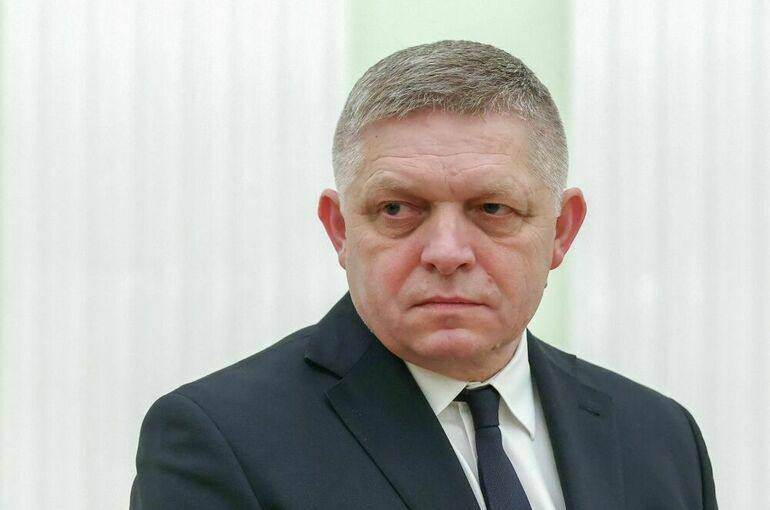 Премьер Словакии Фицо предложил ЕС создать прямую линию связи между РФ и Украиной