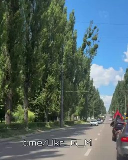 Иллюстрация 1