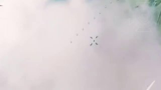 Сбитие украинских БПЛА зенитными дронами в Сумской области