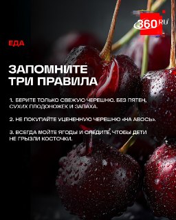 Иллюстрация 1