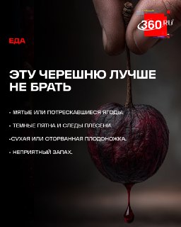 Иллюстрация 2