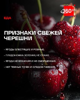 Иллюстрация 3