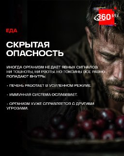 Иллюстрация 6