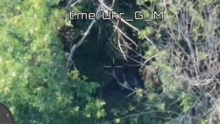 Координация артиллерии и FPV-дронов Южной группировки войск на Славянском направлении