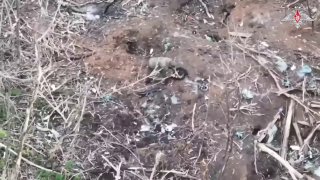 Инженеры «Южной» ГВ подорвали блиндаж ВСУ противотанковой миной