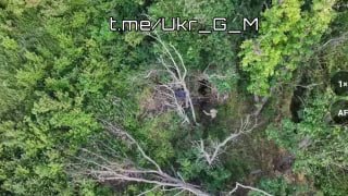 Южная группировка войск демонстрирует превосходство на Славянском направлении