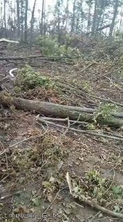 Опубликованы кадры поражения ПВД личного состава ВСУ российскими войсками