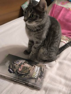 Иллюстрация 1