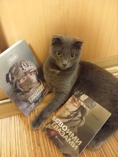Иллюстрация 2