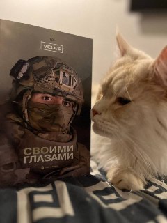Иллюстрация 5
