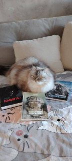 Иллюстрация 8