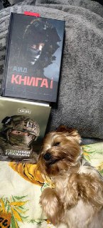 Иллюстрация 9