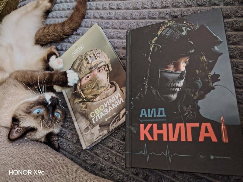 Иллюстрация 10