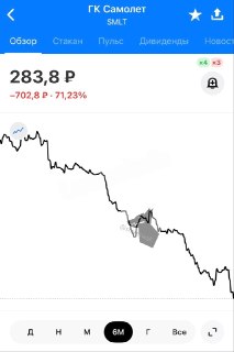 Акции крупнейшего застройщика России обвалились на 70% за полгода на фоне крушения самолета