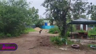 Иллюстрация 1