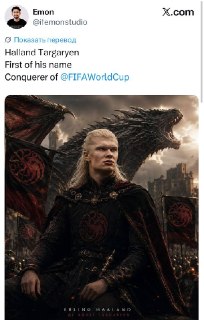 Иллюстрация 1