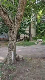 Иллюстрация 1