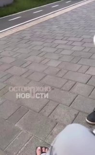 Иллюстрация 1