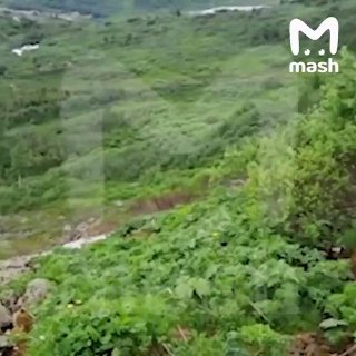 Иллюстрация 1