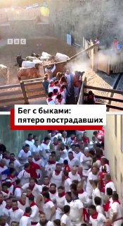 Иллюстрация 1