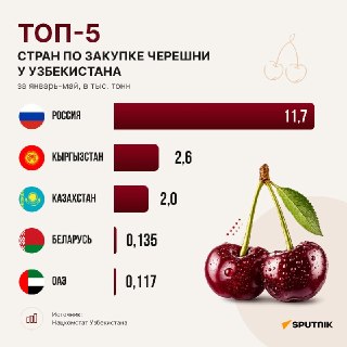 Иллюстрация 1