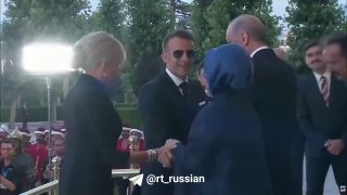 Иллюстрация 1