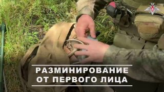 Иллюстрация 1