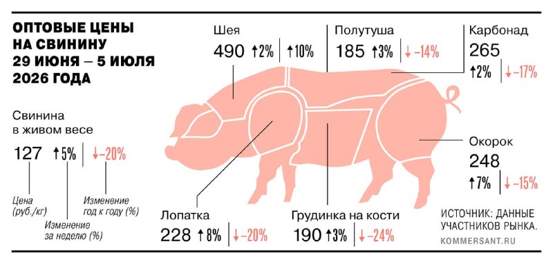 Иллюстрация 1