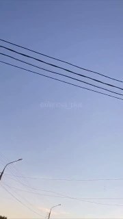 Иллюстрация 5