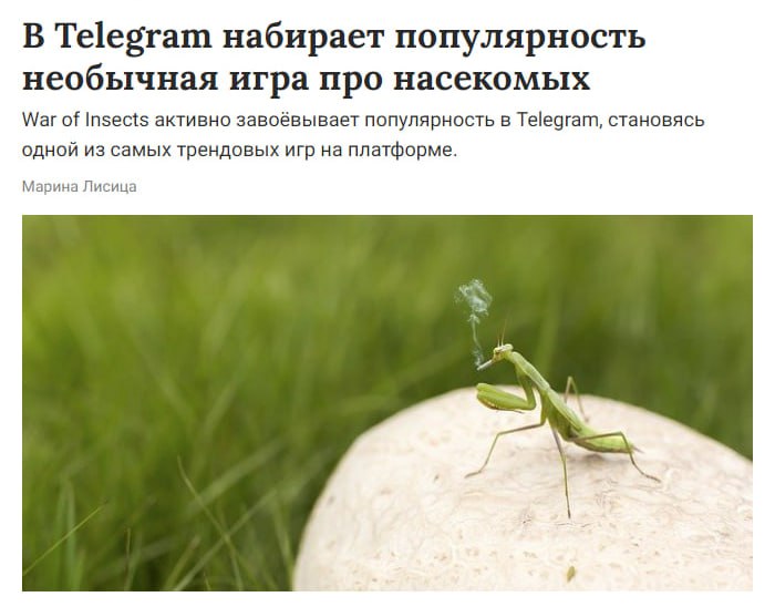 War of Insects — почему эта игра взорвала Telegram?