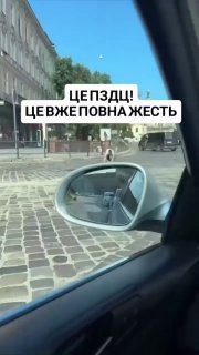 Иллюстрация 1