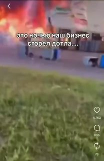 Алгоритмы Instagram распространяют жалобы продавцов Wildberries на потерю товара