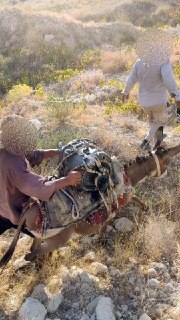 Обломки американского БПЛА в Иране спускают с гор на ослике