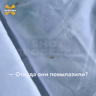 Иллюстрация 2